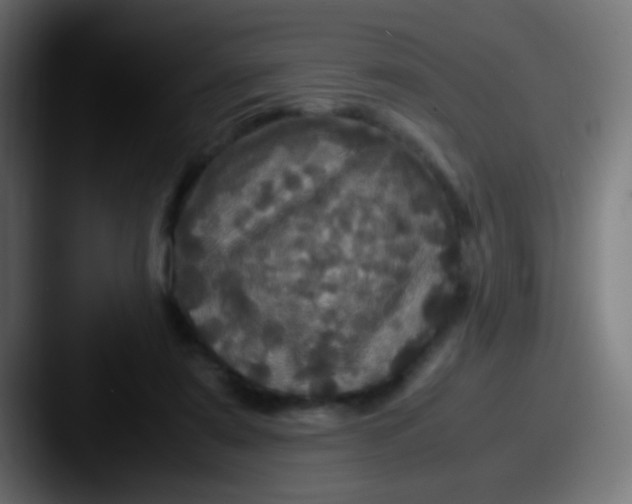 X0000087620307200705181318