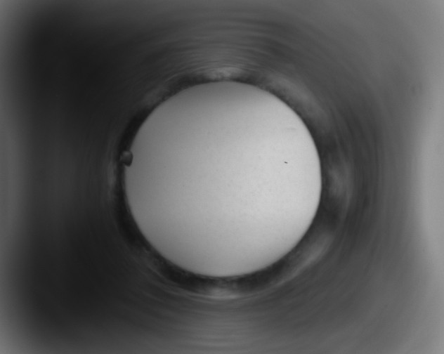 X0000087620308200705181318