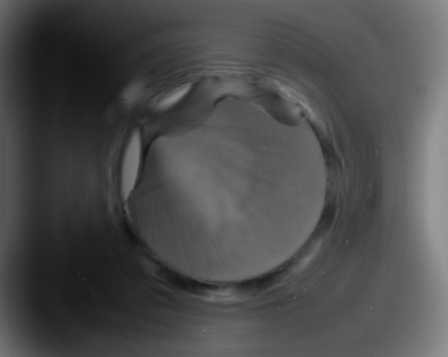 X0000087620309200705181318