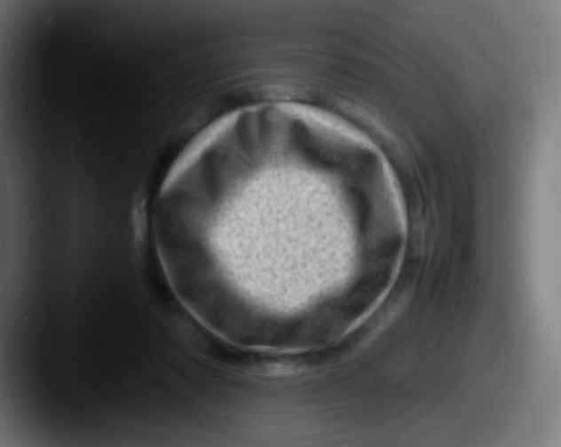 X0000087620310200705181318