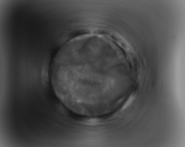 X0000087620313200705181318