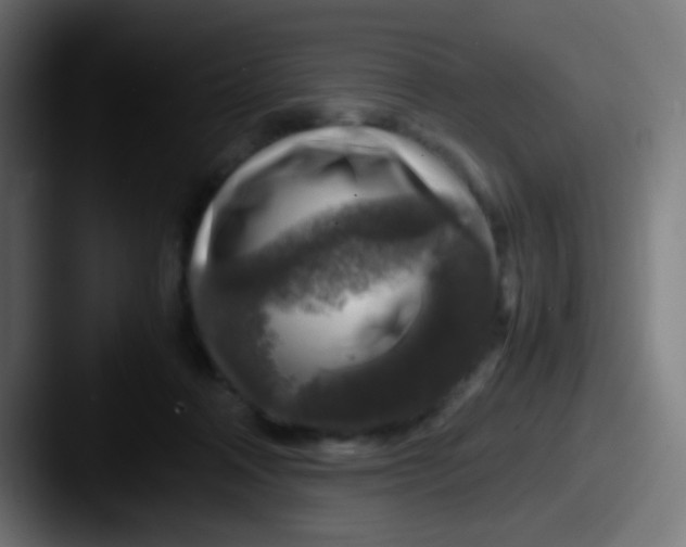 X0000087620314200705181318
