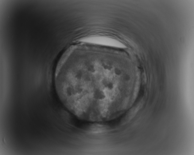 X0000087620315200705181318