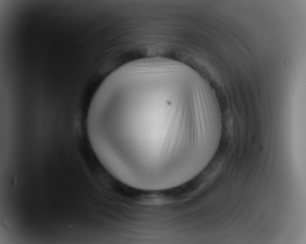X0000087620316200705181317