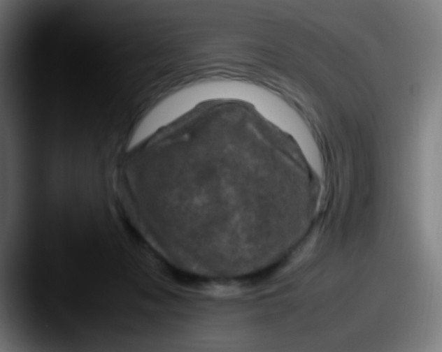 X0000087620317200705181317