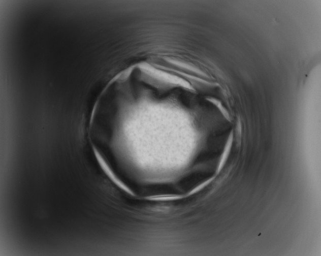 X0000087620318200705181317