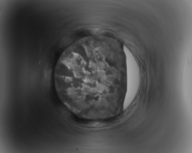 X0000087620319200705181317