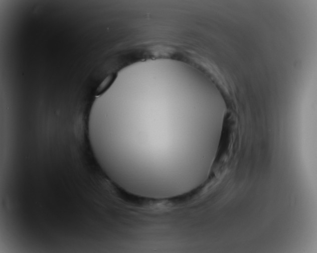 X0000087620321200705181317