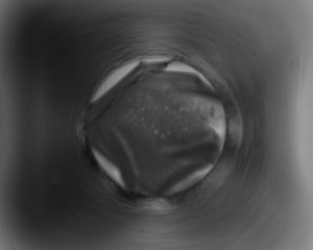 X0000087620322200705181317