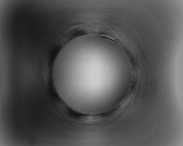 X0000087620323200705181317