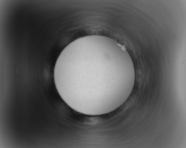 X0000087620324200705181317