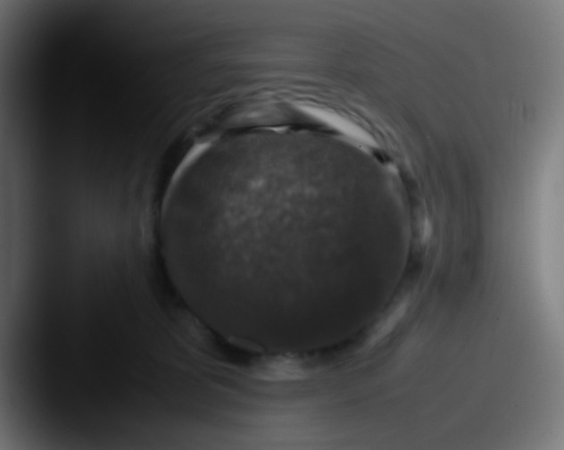 X0000087620325200705181317