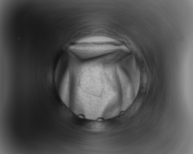 X0000087620326200705181317