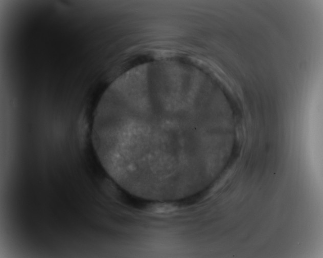 X0000087620327200705181317