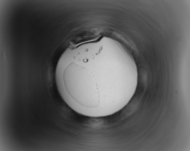X0000087620328200705181317