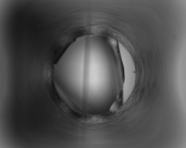 X0000087620329200705181317
