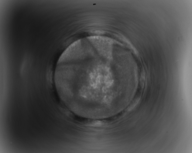 X0000087620330200705181317