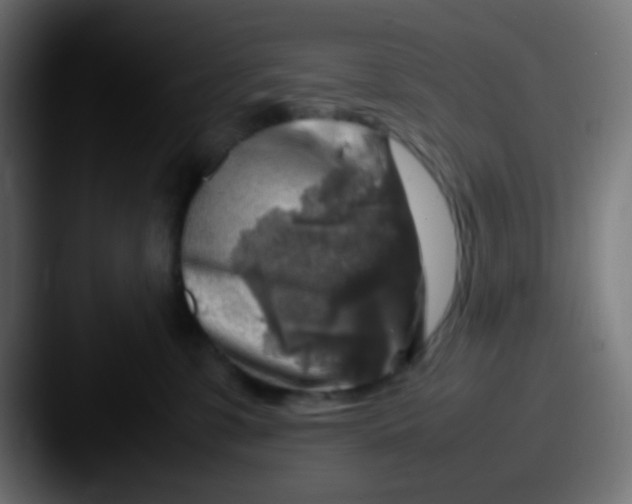 X0000087620331200705181317