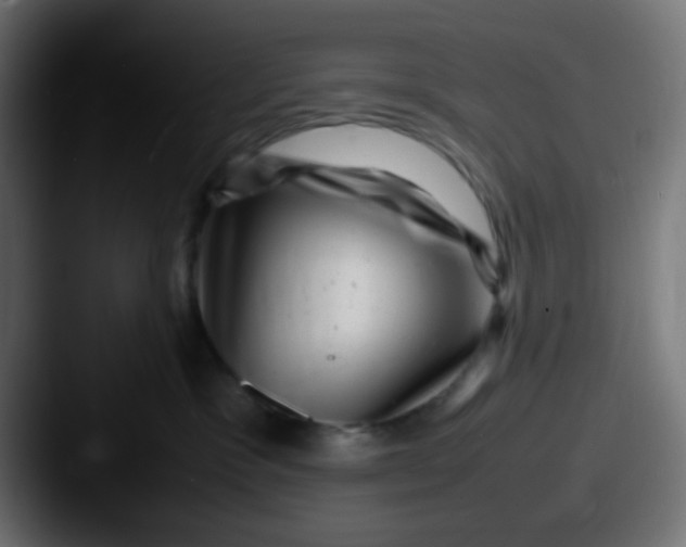 X0000087620333200705181317