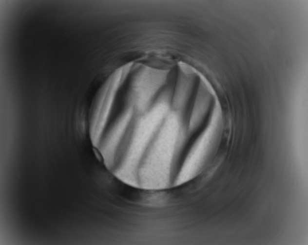 X0000087620334200705181317