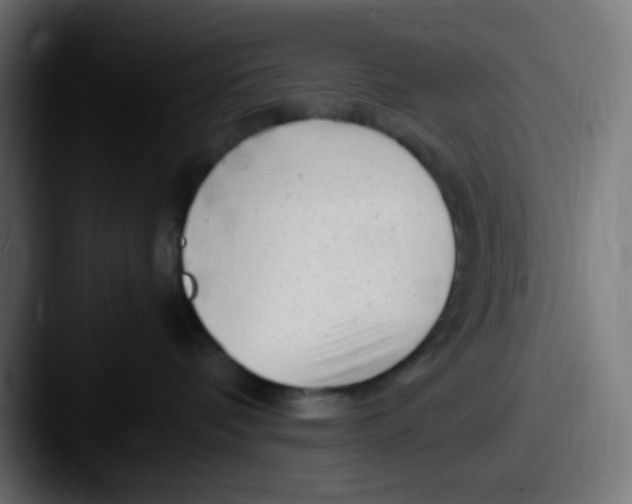X0000087620336200705181317