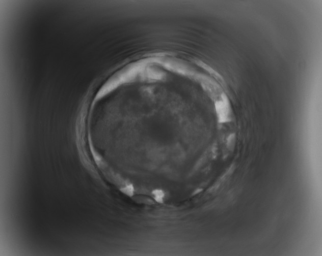 X0000087620337200705181317
