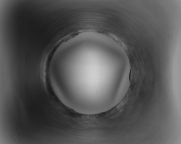 X0000087620338200705181317