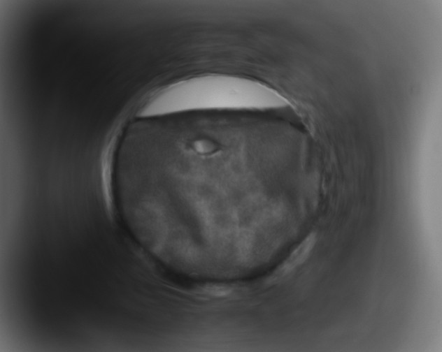 X0000087620341200705181317