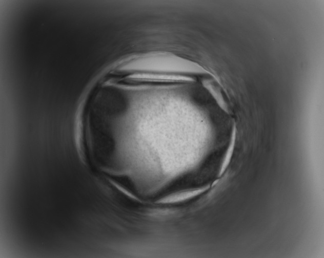 X0000087620342200705181317