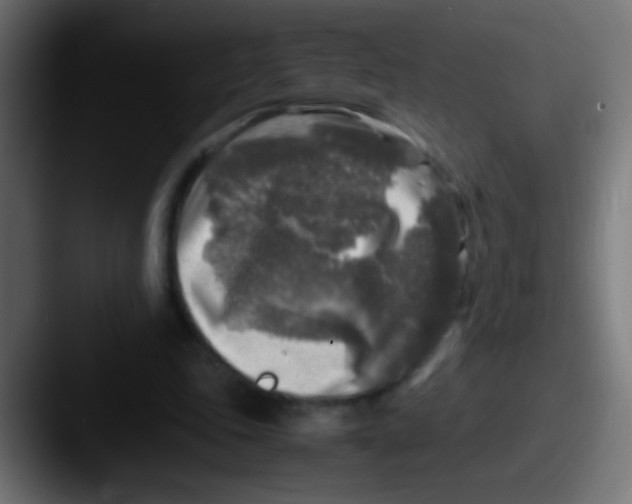 X0000087620343200705181317