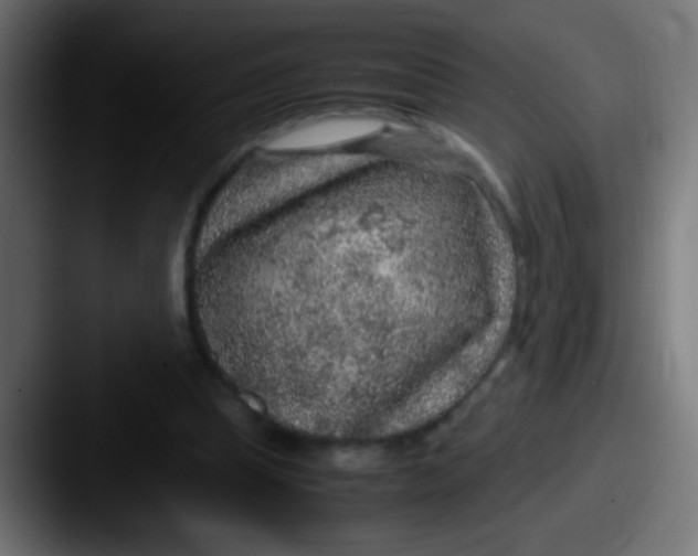 X0000087620345200705181317