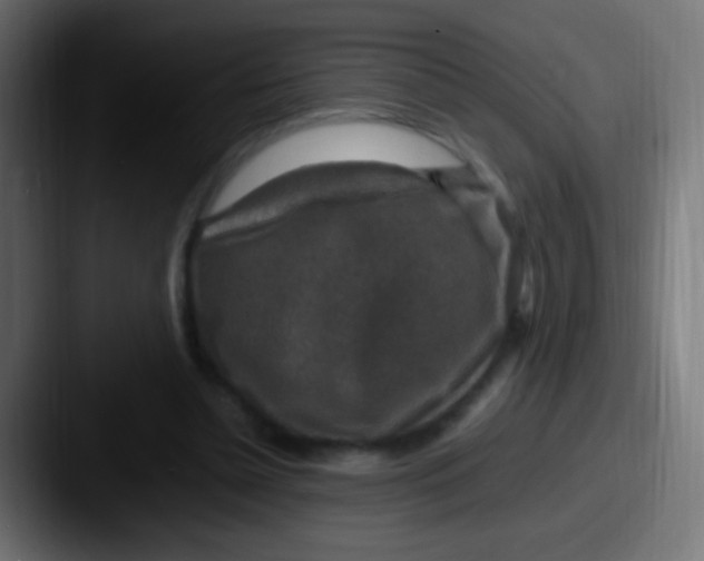 X0000087620348200705181317