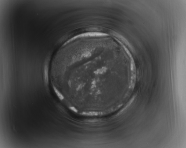 X0000087620349200705181317