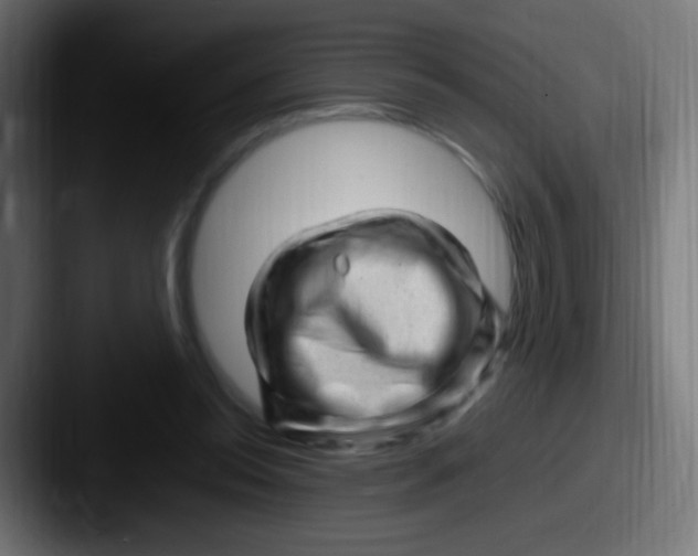 X0000087620350200705181317
