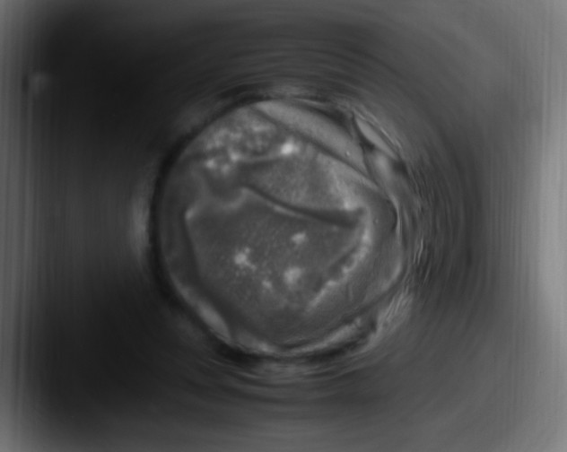 X0000087620351200705181317