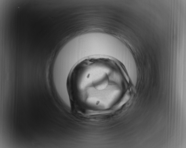X0000087620352200705181317