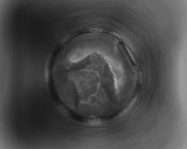 X0000087620355200705181317