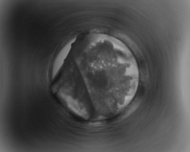 X0000087620357200705181317