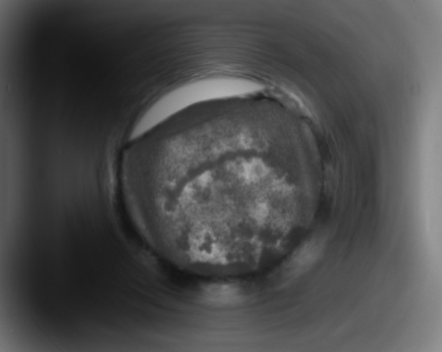 X0000087620358200705181317