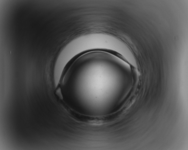 X0000087620362200705181317