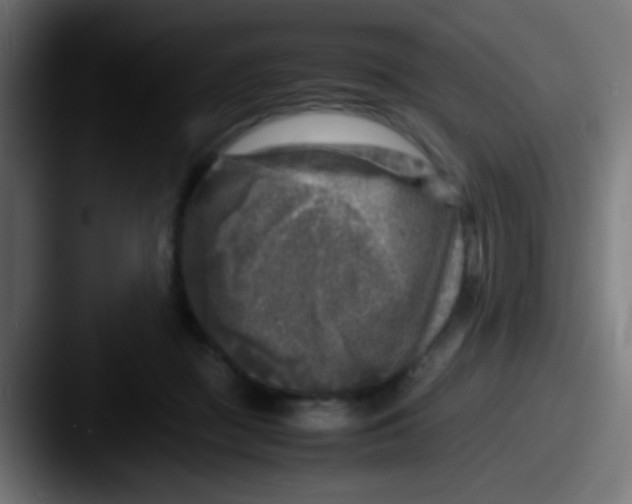 X0000087620363200705181317