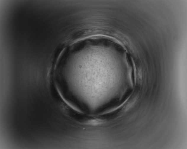 X0000087620364200705181317