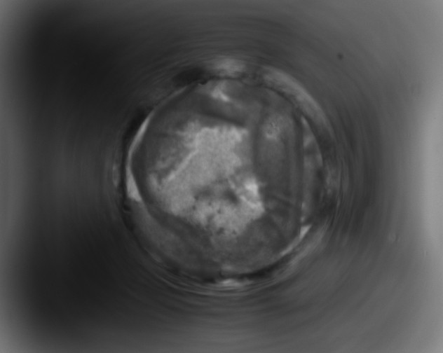 X0000087620365200705181317