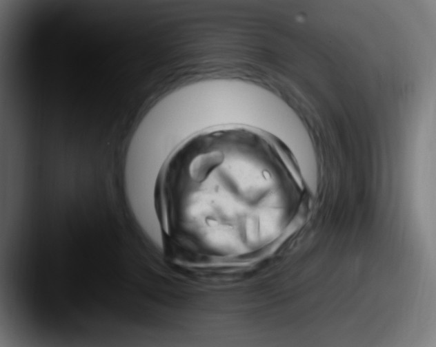 X0000087620368200705181317