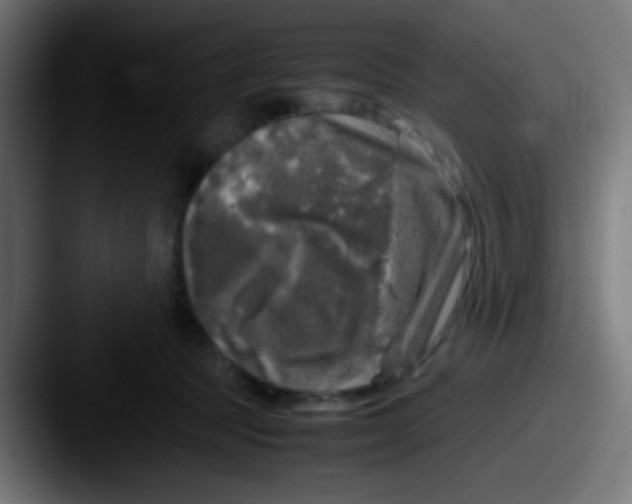 X0000087620369200705181317