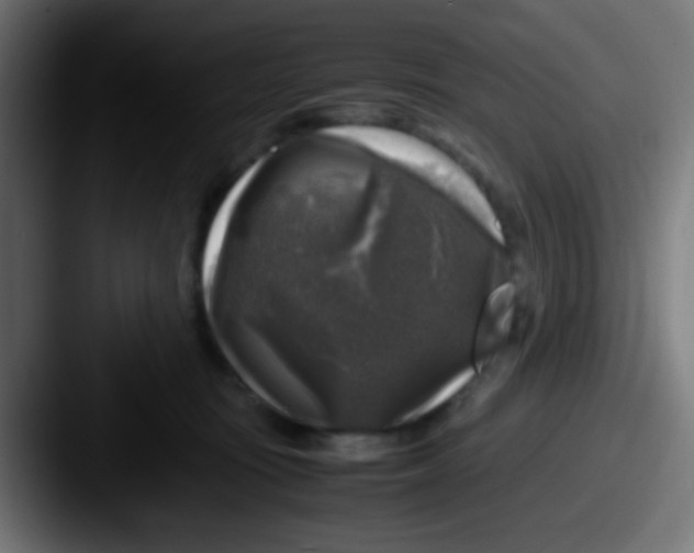 X0000087620371200705181317