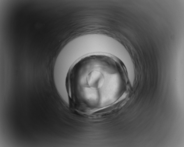 X0000087620372200705181317