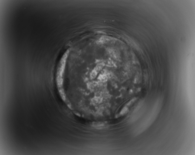 X0000087620373200705181317
