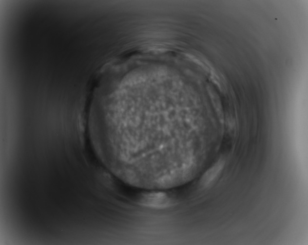 X0000087620374200705181317