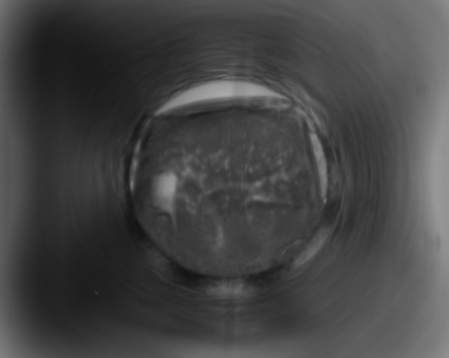 X0000087620377200705181317